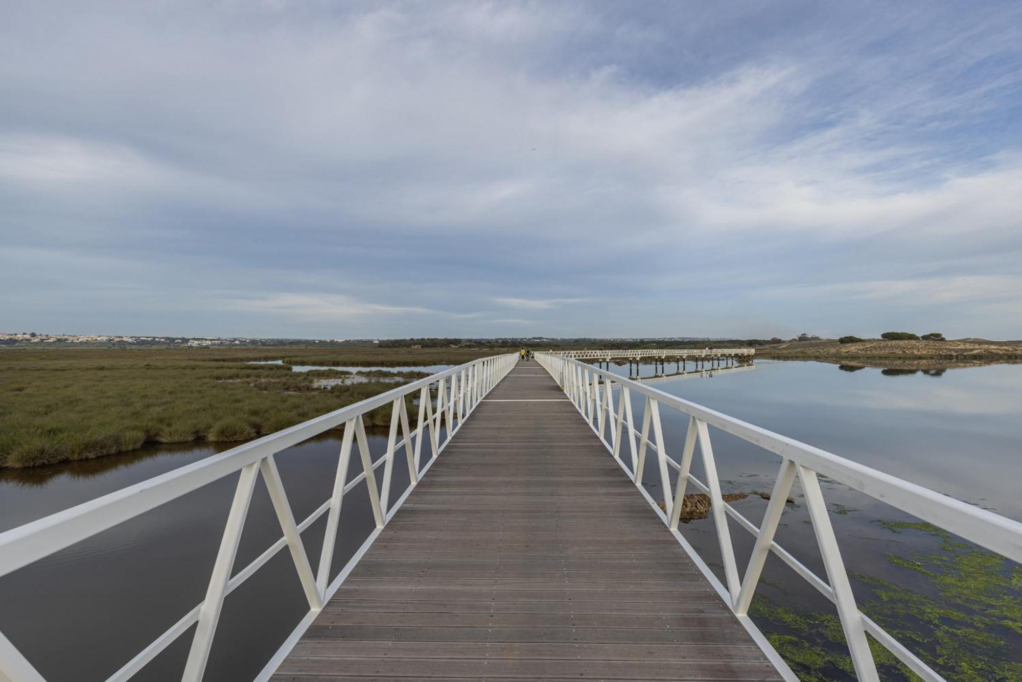 Bayline Viii By Innkeeper *